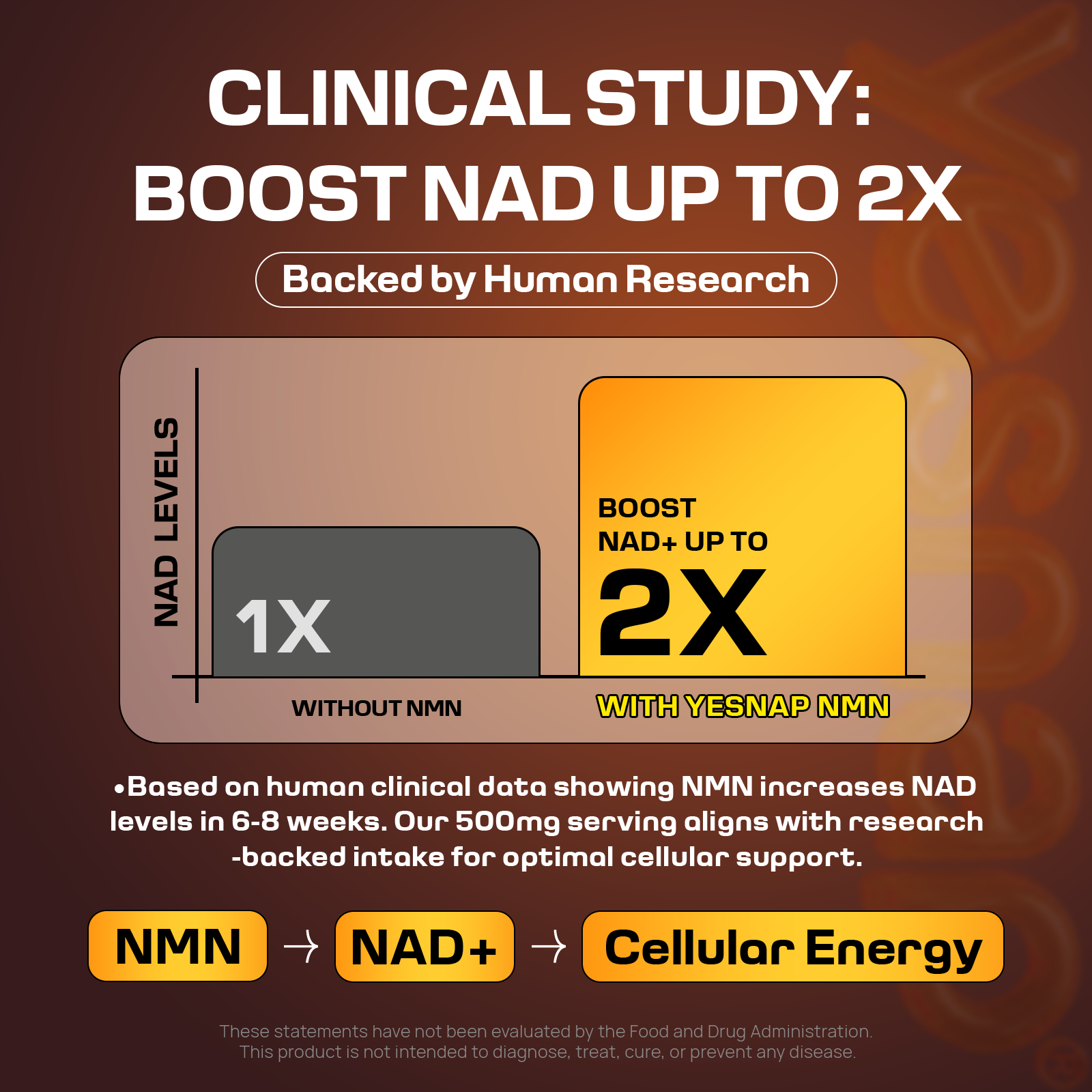 𝗬𝗲𝘀𝗻𝗮𝗽 NMN (Nicotinamide Mononucleotide)™